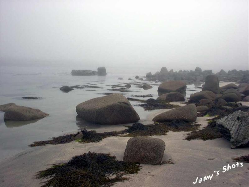 Brumes marines de l'ile d'Omey
