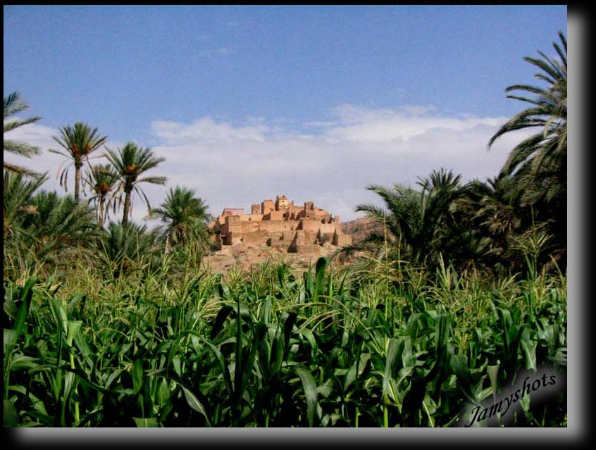 Tiuot et sa palmeraie