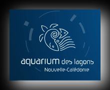 Cliquez ici pour rejoindre l'Aquarium de Noum�a