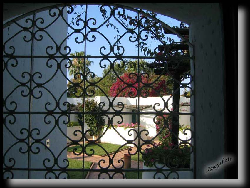 Premier regard, premier matin