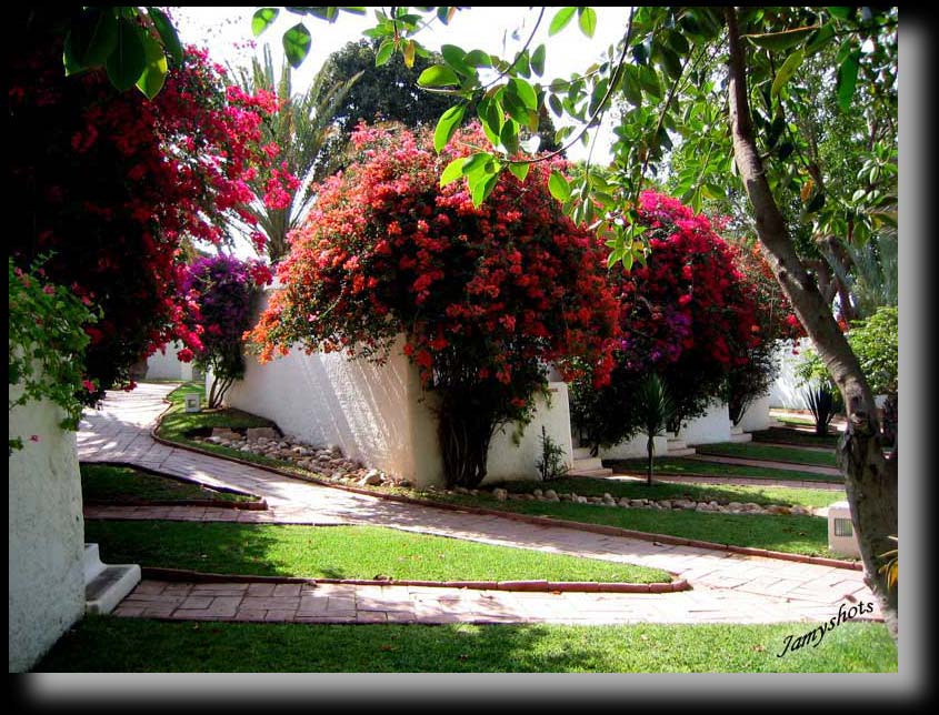 Un regard sur la "Kasbah"