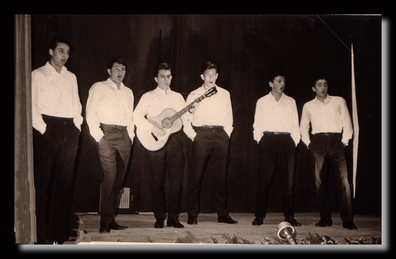 The green leaves of summer