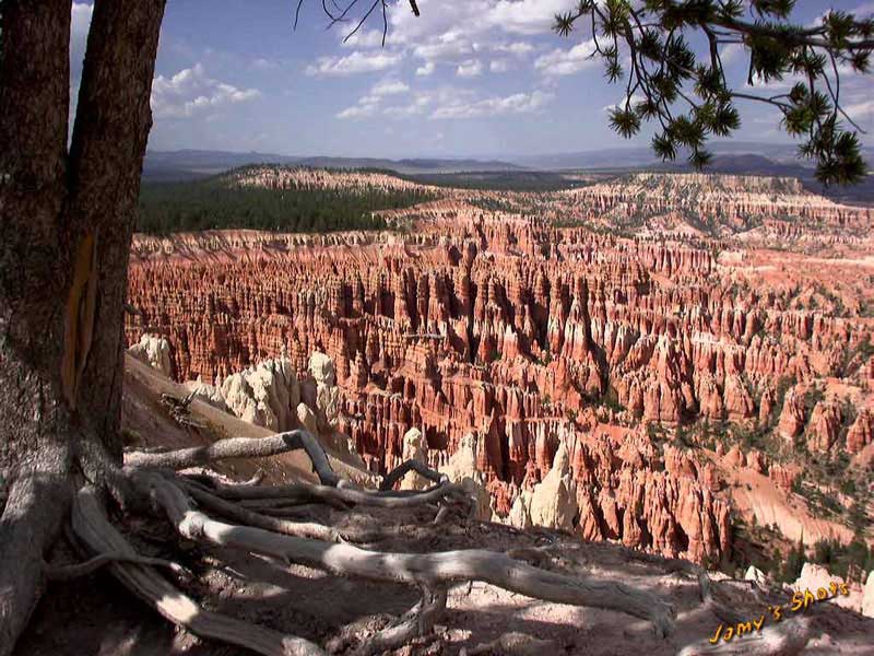 Les bords de Bryce vers Inspiration Point..