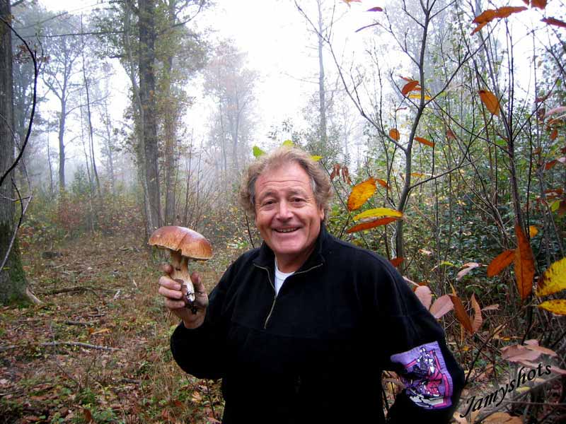 En fricassée, ce sera bien meilleur.