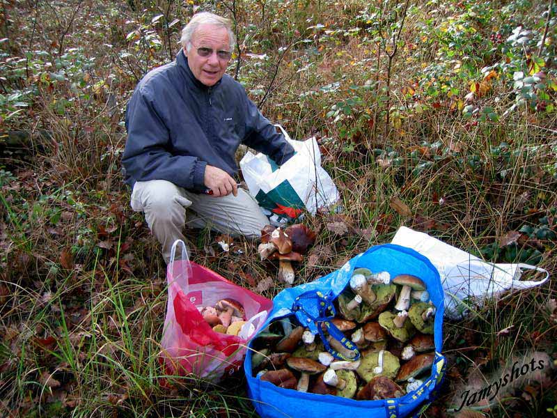 Daniel Maire fait du toilettage à ses Edulis