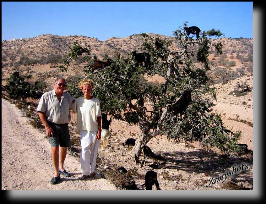 Devant les troupeaux