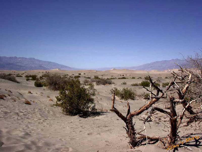 Sand Dunes, au nord de la vall�e