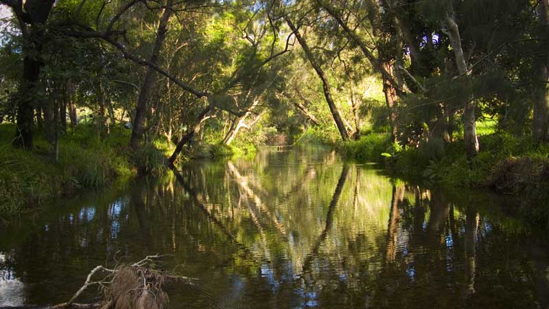 La rivi�re Doucampo.