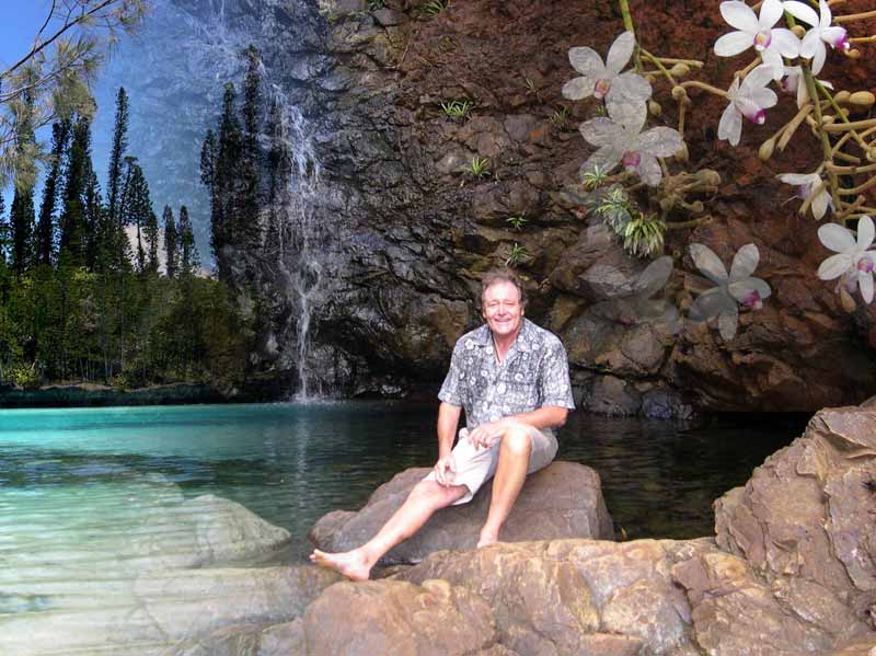 Cliquez ici pour t�l�charger le diaporama de la flore de Nouvelle-Cal�donie