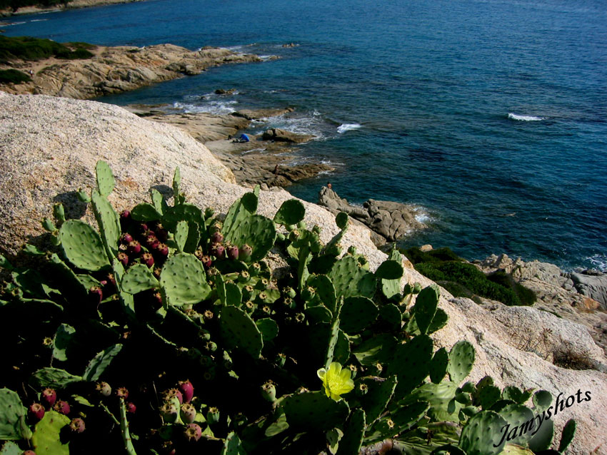 Plage priv�e de l'Escalet. Domaine Riera,Jeannot,Dupr�,Delpias.