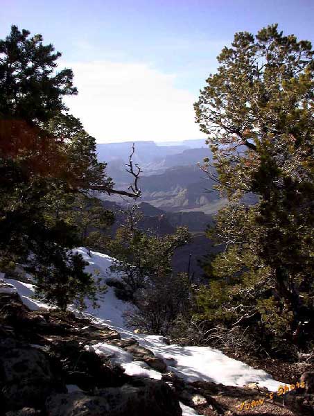 Chemin de randonn�e � Yavapa� Point