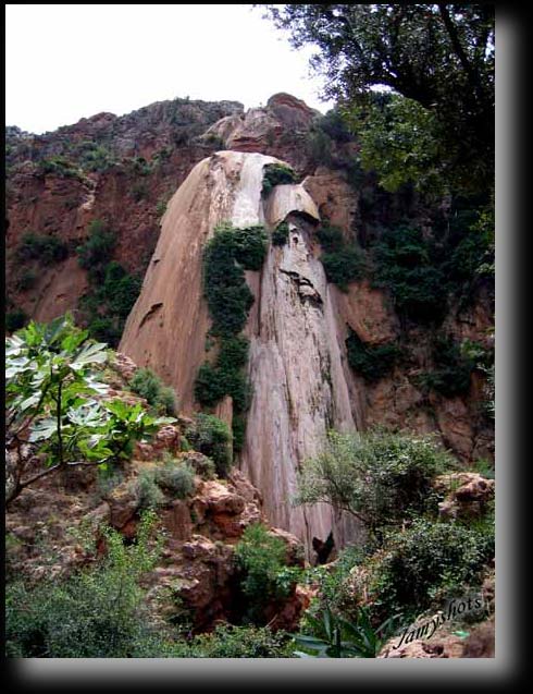 Voile de la Mari�e