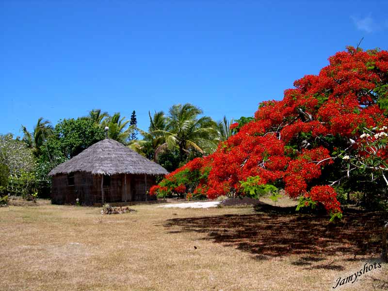 Case traditionnelle de la r�gion de Vao