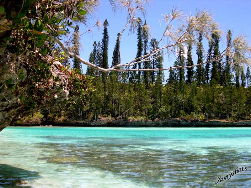 La c�l�bre piscine de l'ile des Pins