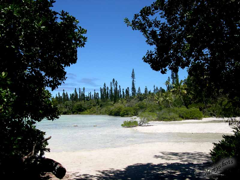 La piscine. Vue de chez R�gis