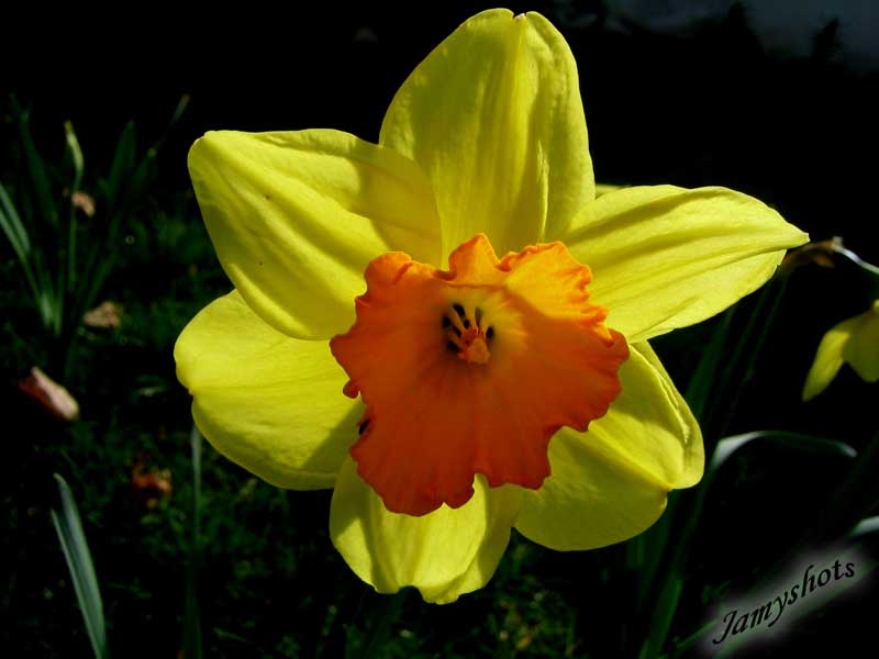 Le printemps est arriv�