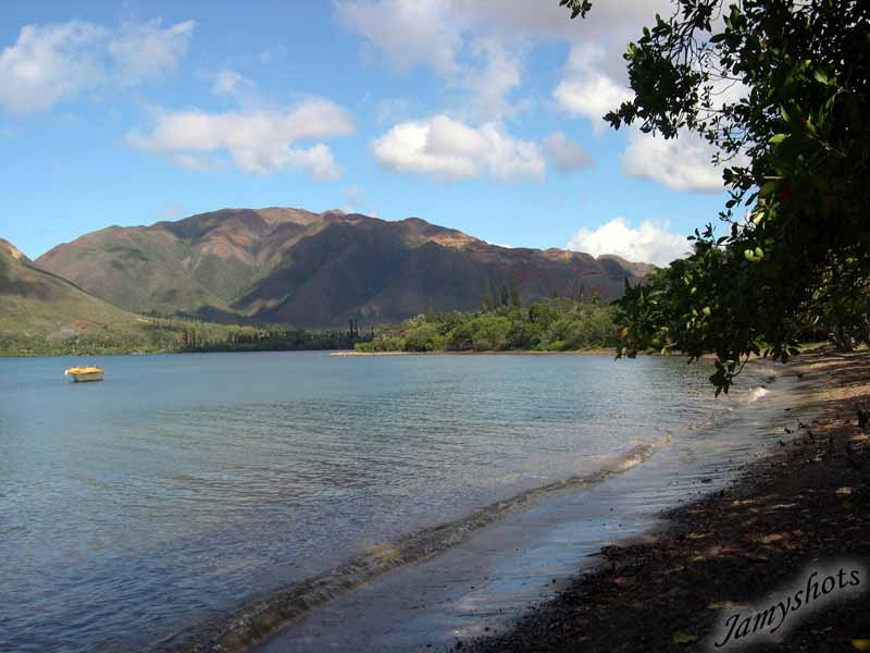 le bord du lagon � Plum