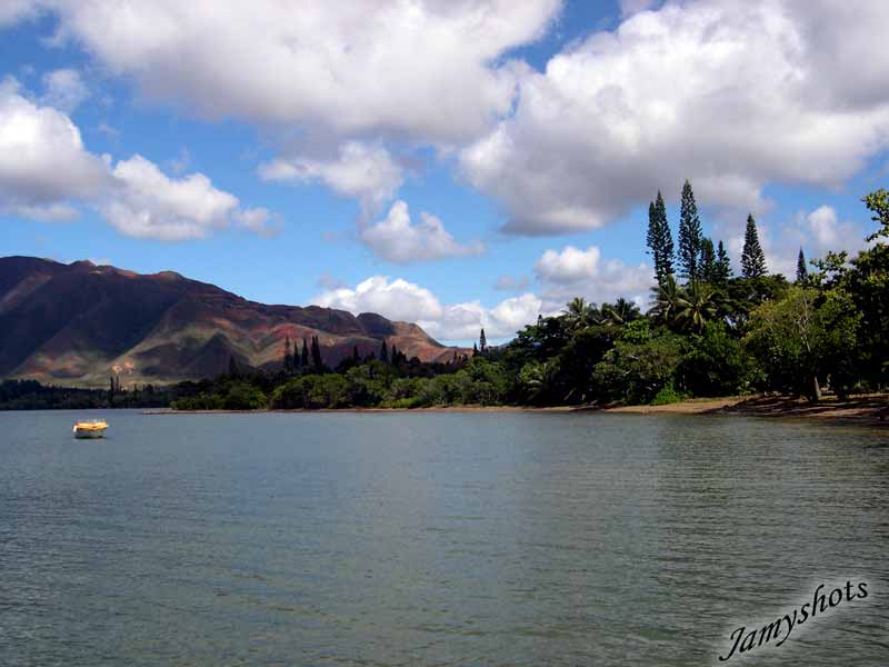 le bord du lagon � Plum