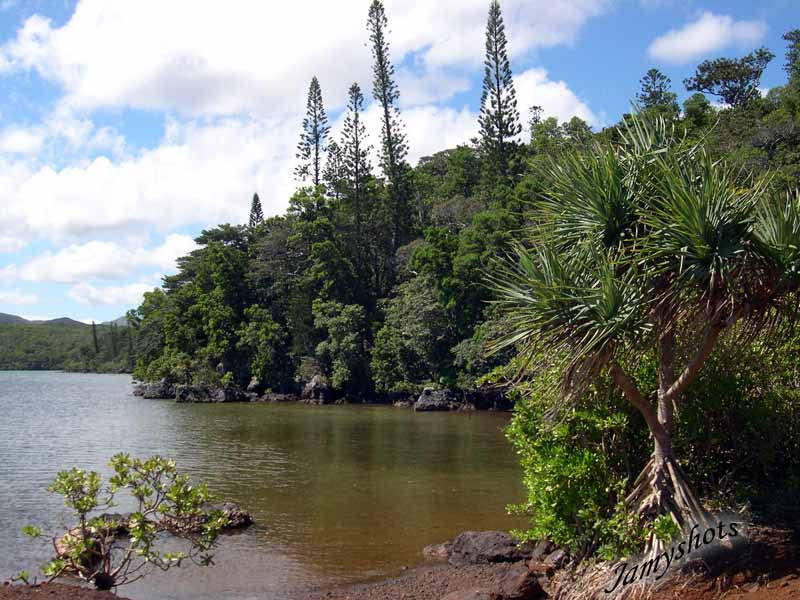 Warf de Port Bois�