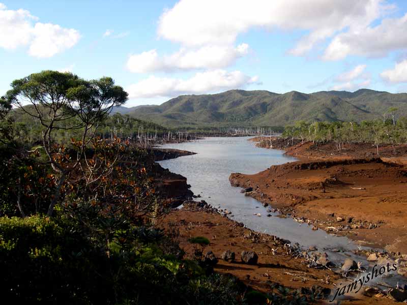 For�t noy�e du lac de Yat�.