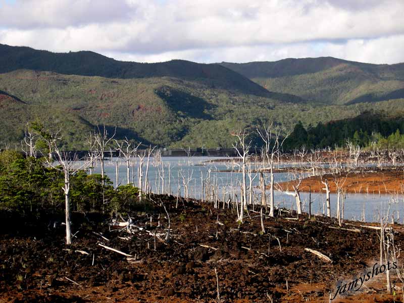  For�t noy�e du lac de Yat�.