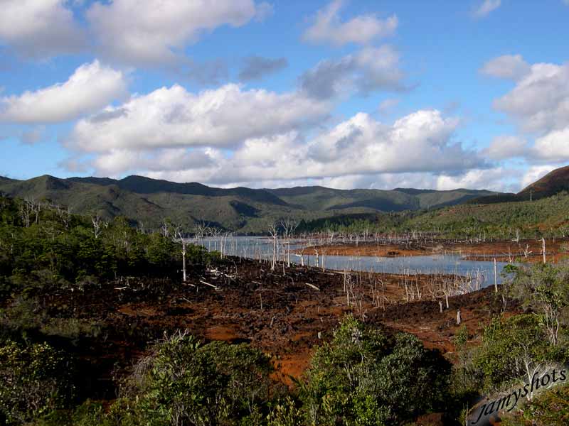  For�t noy�e du lac de Yat�.