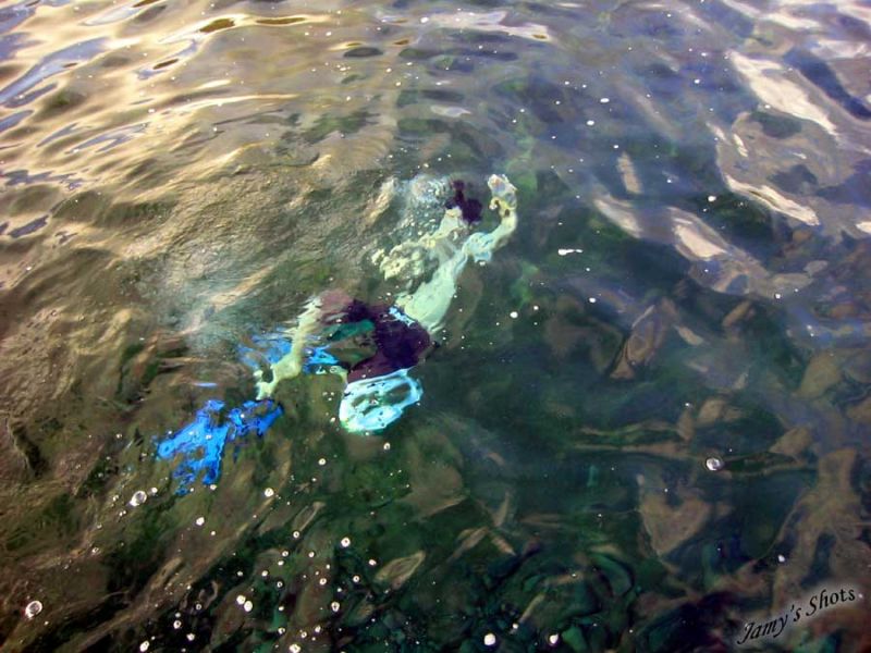 Florian dans les eaux de cristal