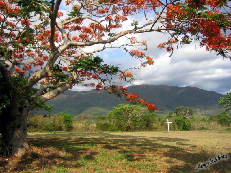 Paysage de No�l � Tomo