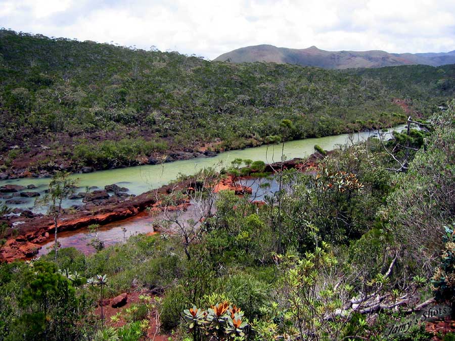  La rivi�re Pernod dans le grand Sud Cal�donien