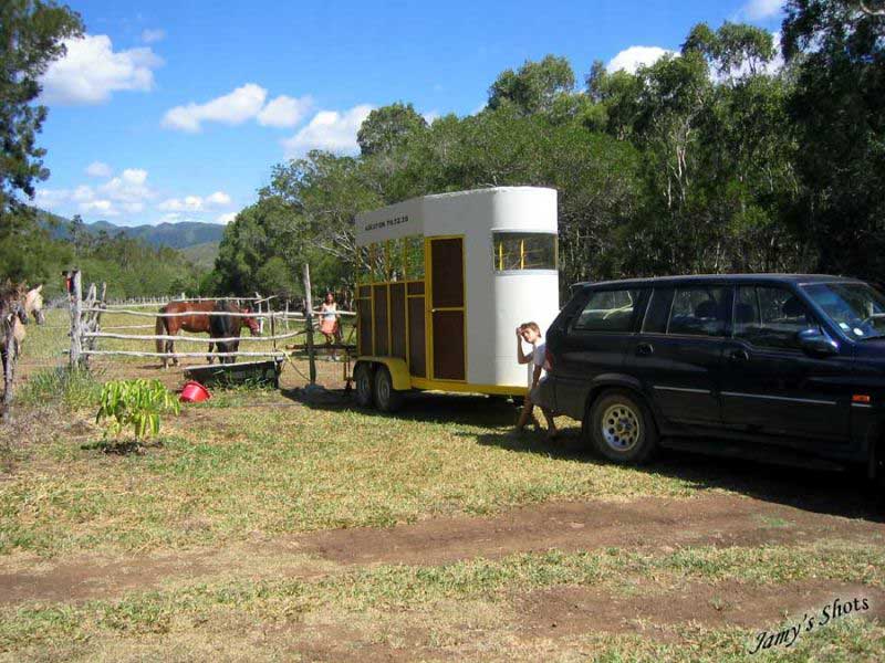 D�part des chevaux pour le dressage