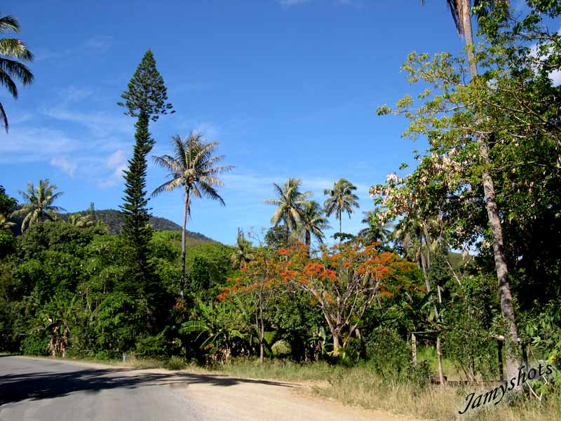 Route entre Po� et Bourail