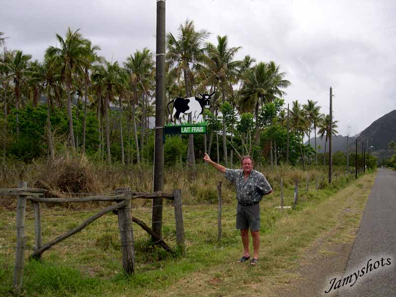Lait Frais de vache de Voh