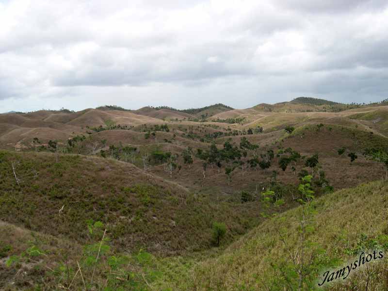 Paysage du nord savane � Niaouli.