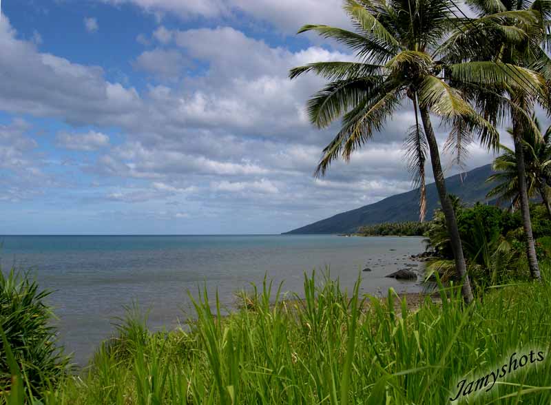 Paysage de la c�te Est