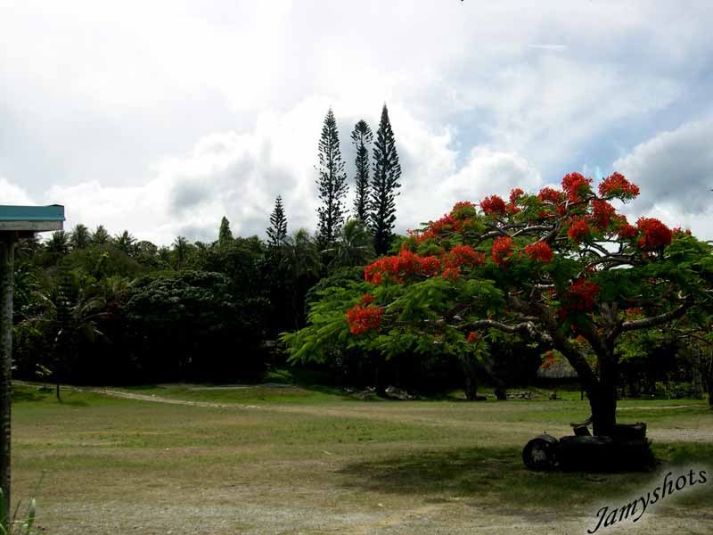 Paysage de la c�te Est