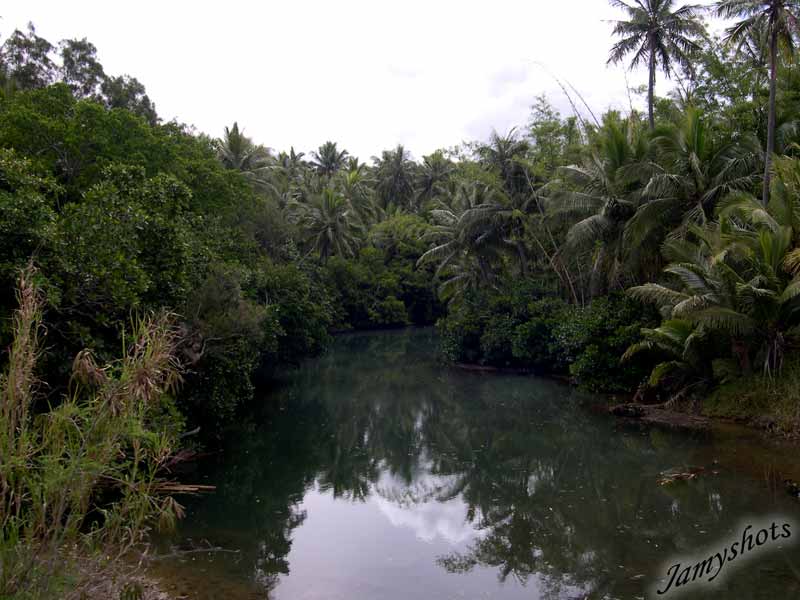 Paysage de la c�te Est