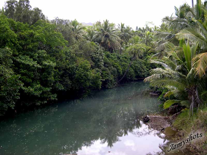 Paysage de la c�te Est