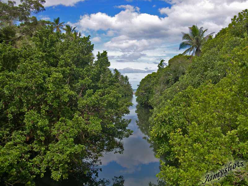 Paysage de la c�te Est