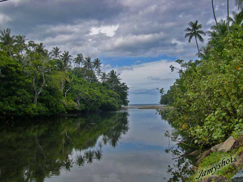 Paysage de la c�te Est