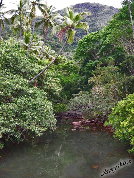 Paysage de la c�te Est