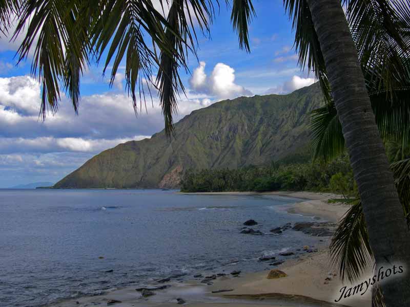 Paysage de la c�te Est