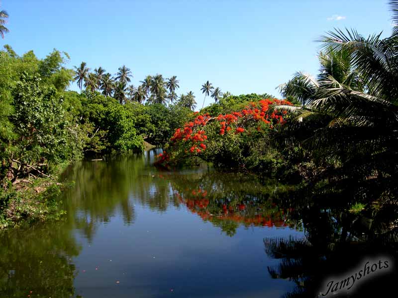 Rivi�re de Poindimi�