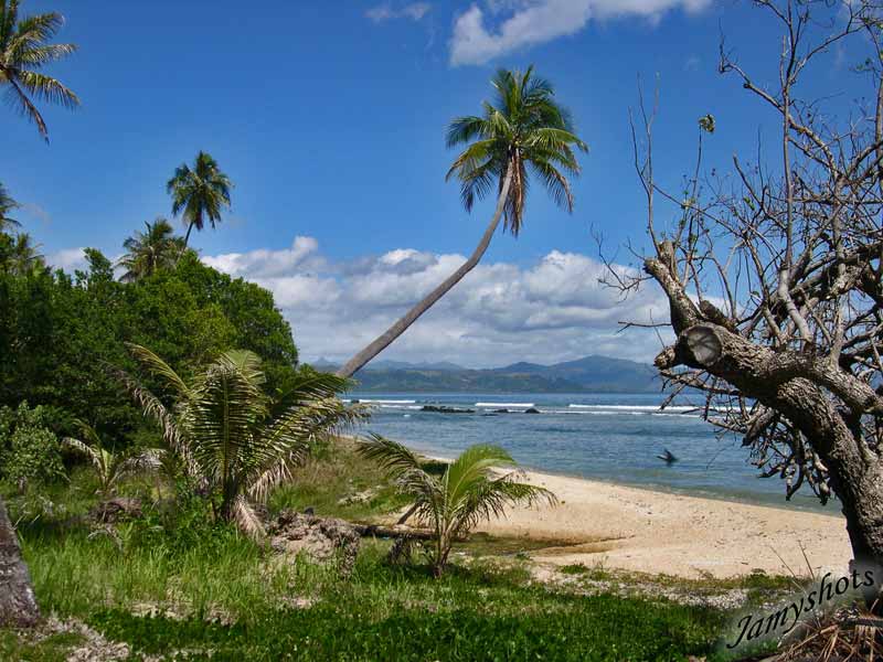 Plage de Poindimi�