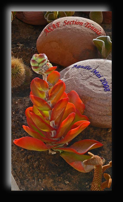 Enr�e de la Kasbah