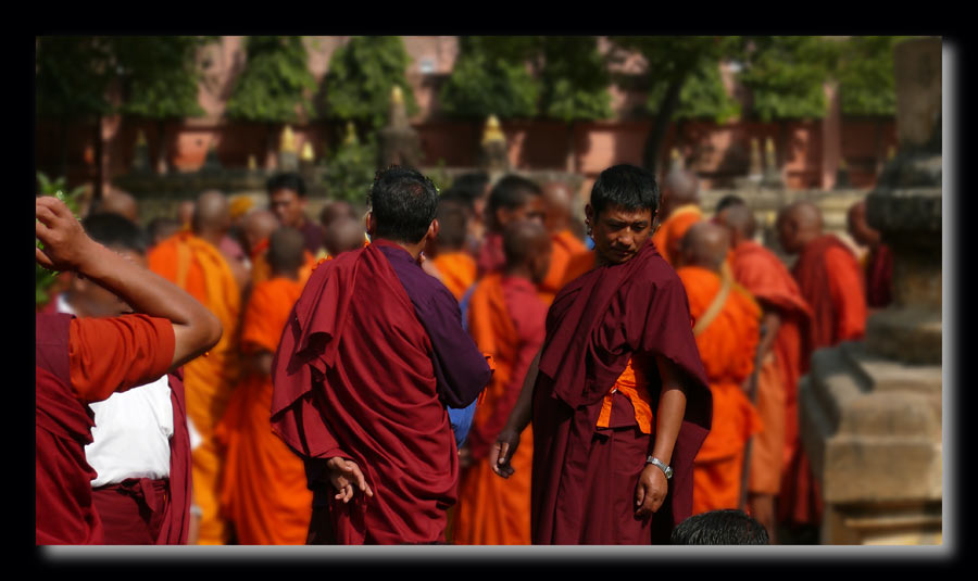 Dans la foule des Tibétains