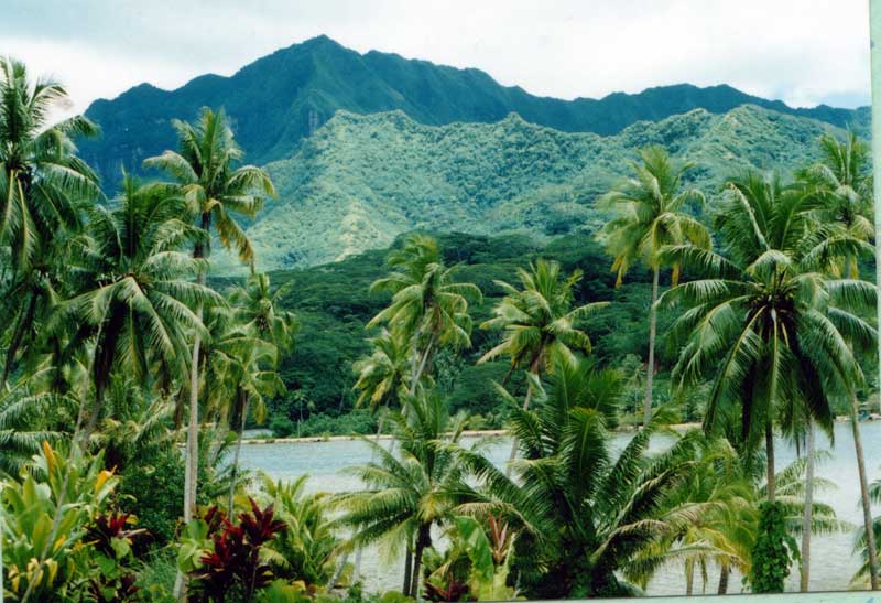 Beaut� des paysages