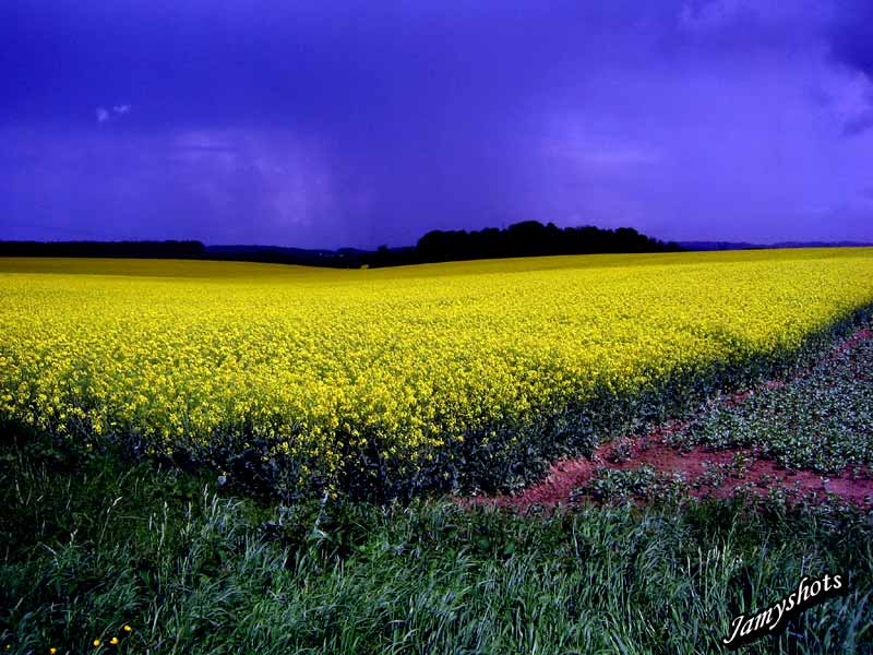 Orage en Ile de France