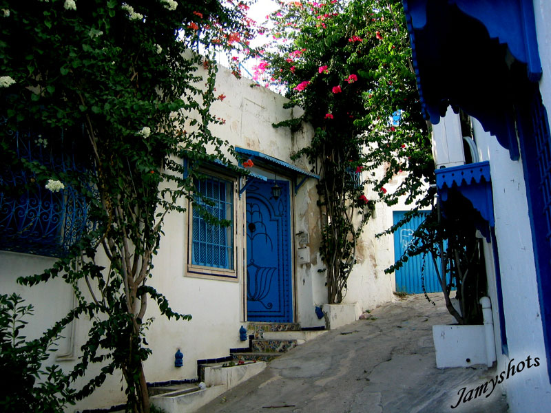 Ruelle de Sidi Bou Sa�d
