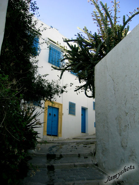 Rue de Sidi Bou Sa�d