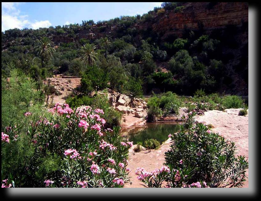Les eaux pures de l'Oued